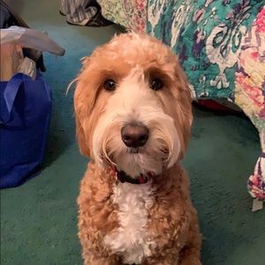 Meet your Posher, Nate